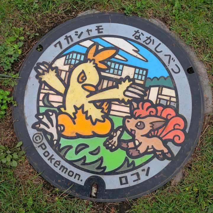 中標津町総合体育館330°アリーナのポケふた（ロコン・ワカシャモ）の写真