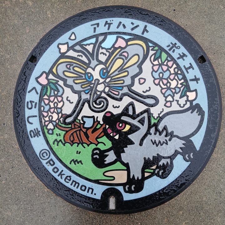 倉敷市 自然史博物館のポケふた（アゲハント・ポチエナ）の写真