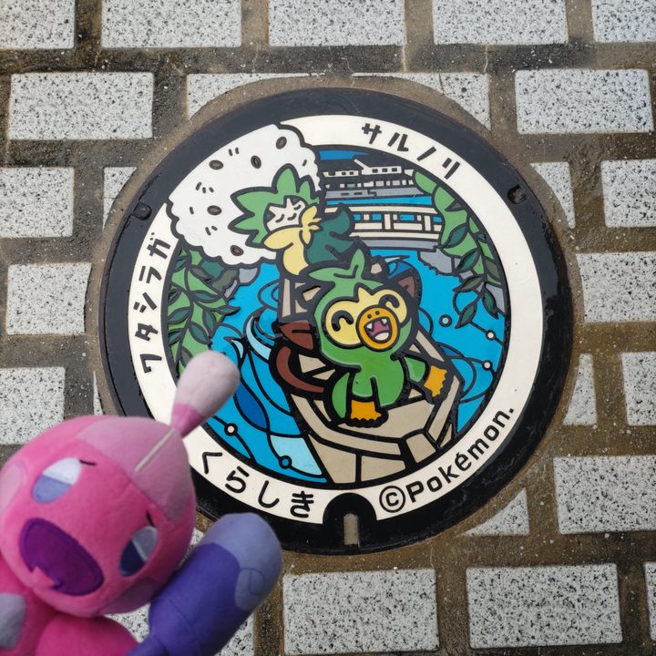 倉敷市 芸文館のポケふた（サルノリ・ワタシラガ）の写真