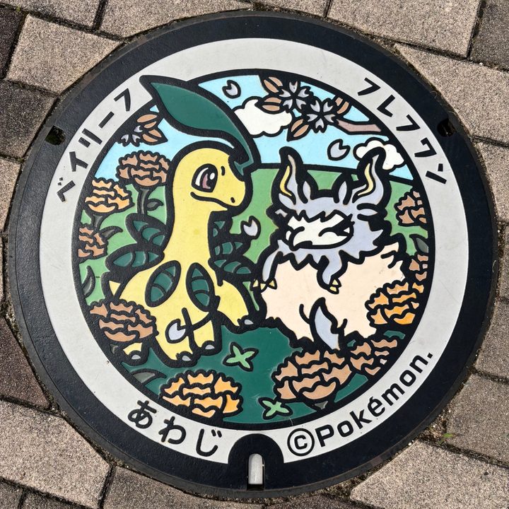 兵庫県淡路のポケふた（フレフワン・ベイリーフ）の写真