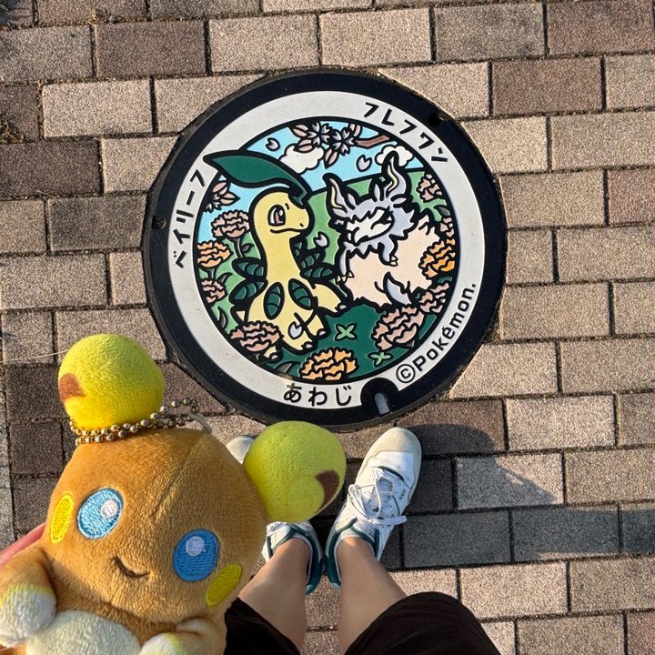 兵庫県淡路のポケふた（フレフワン・ベイリーフ）の写真