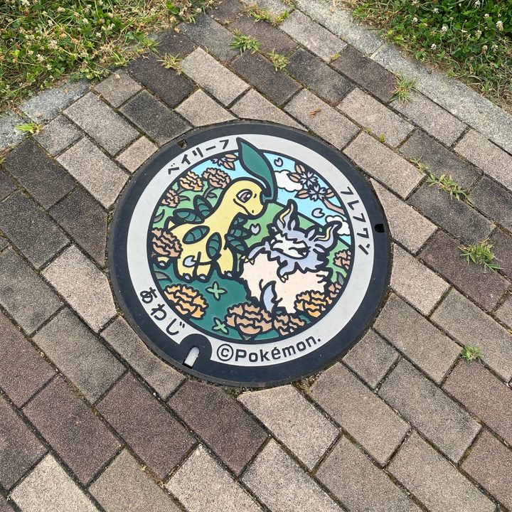 淡路市 北淡震災記念公園のポケふた（フレフワン・ベイリーフ）の写真