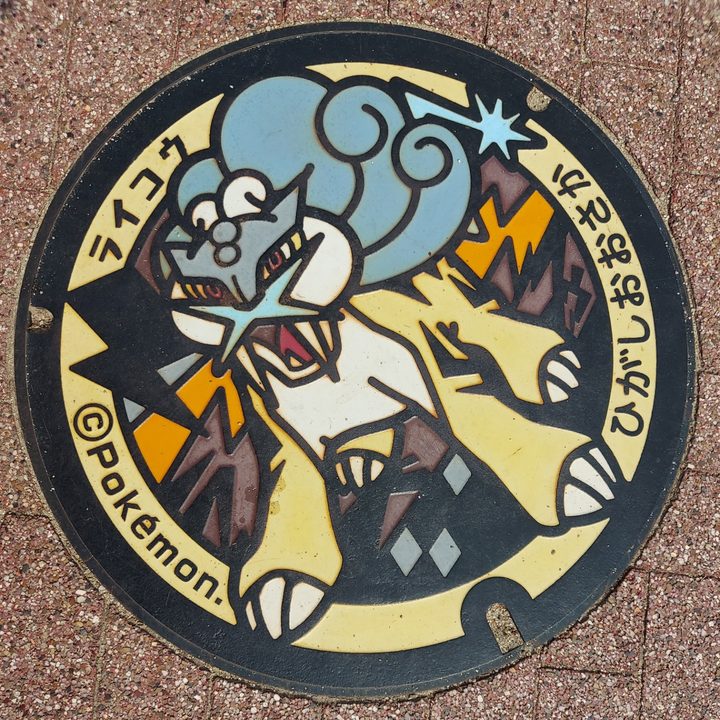 Photo of the Raikou Poké Lid in Higashiosaka