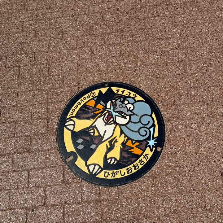 大阪府東大阪のポケふた（ライコウ）の写真