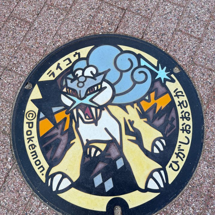 大阪府東大阪のポケふた（ライコウ）の写真