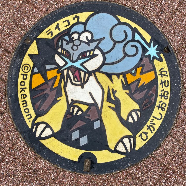 大阪府東大阪のポケふた（ライコウ）の写真