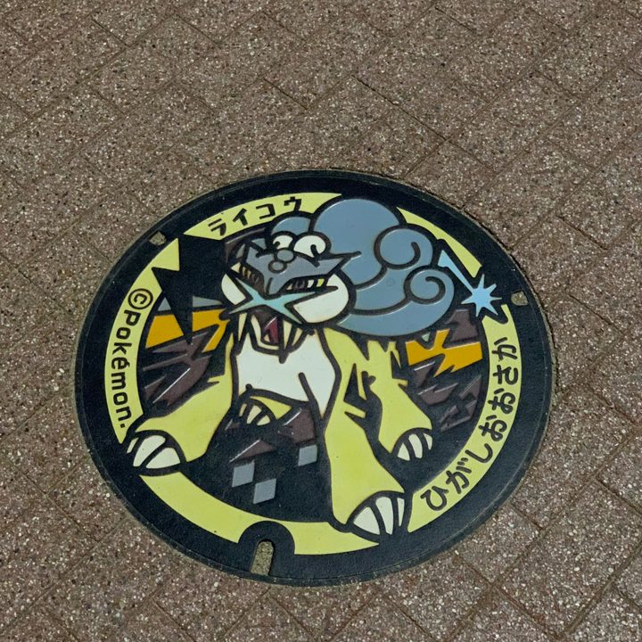 大阪府東大阪のポケふた（ライコウ）の写真