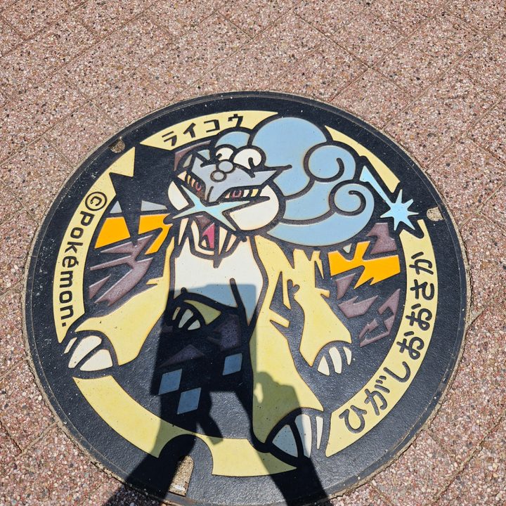 大阪府東大阪のポケふた（ライコウ）の写真