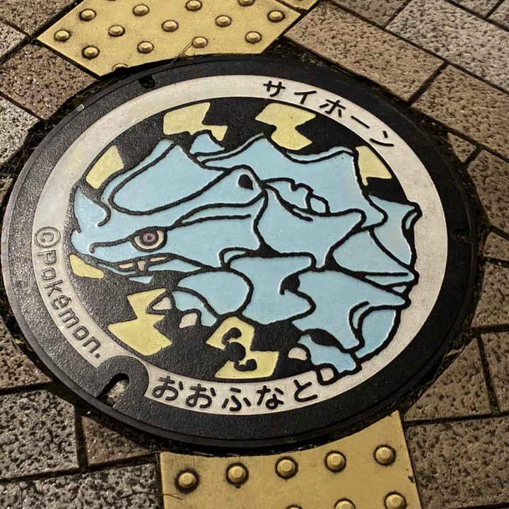 Photo of the Rhyhorn Poké Lid in Ofunato