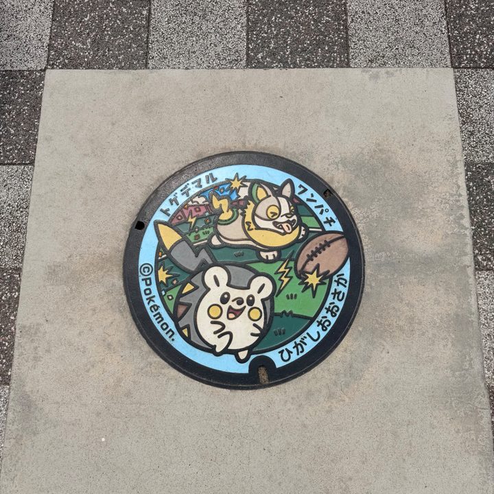 大阪府東大阪のポケふた（トゲデマル・ワンパチ）の写真