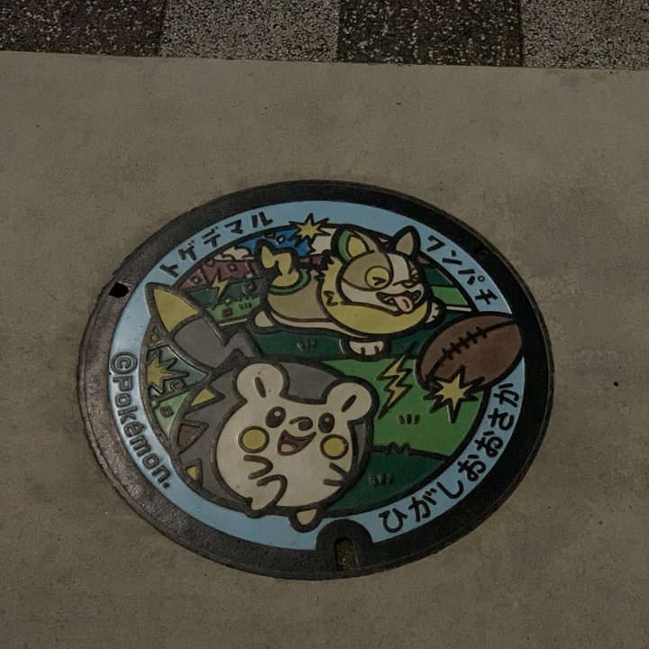 大阪府東大阪のポケふた（トゲデマル・ワンパチ）の写真