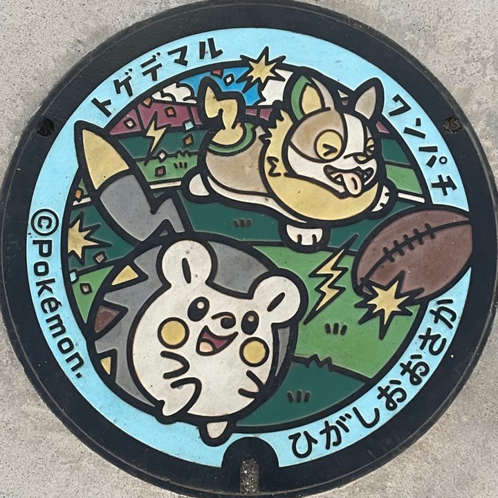 東大阪市 花園中央公園（松原南2）のポケふた（トゲデマル・ワンパチ）の写真