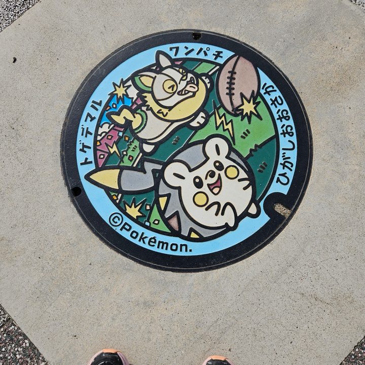 大阪府東大阪のポケふた（トゲデマル・ワンパチ）の写真