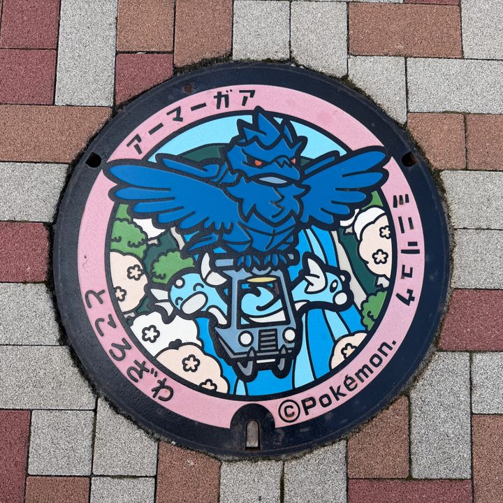 所沢市 YOT-TOKOのポケふた（アーマーガア・ミニリュウ）の写真