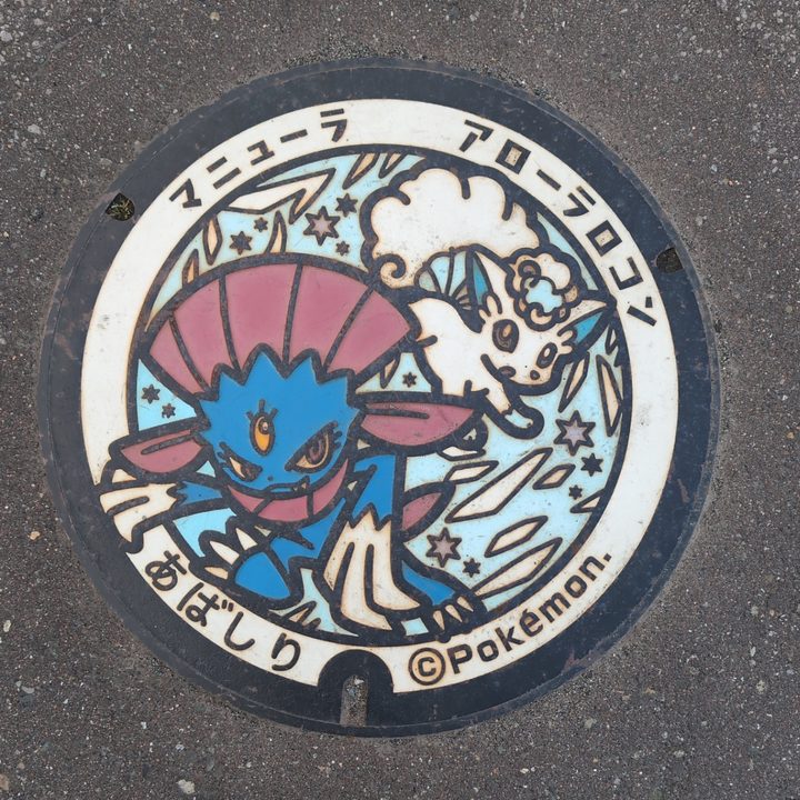 網走市 道の駅流氷街道網走のポケふた（アローラロコン・マニューラ）の写真