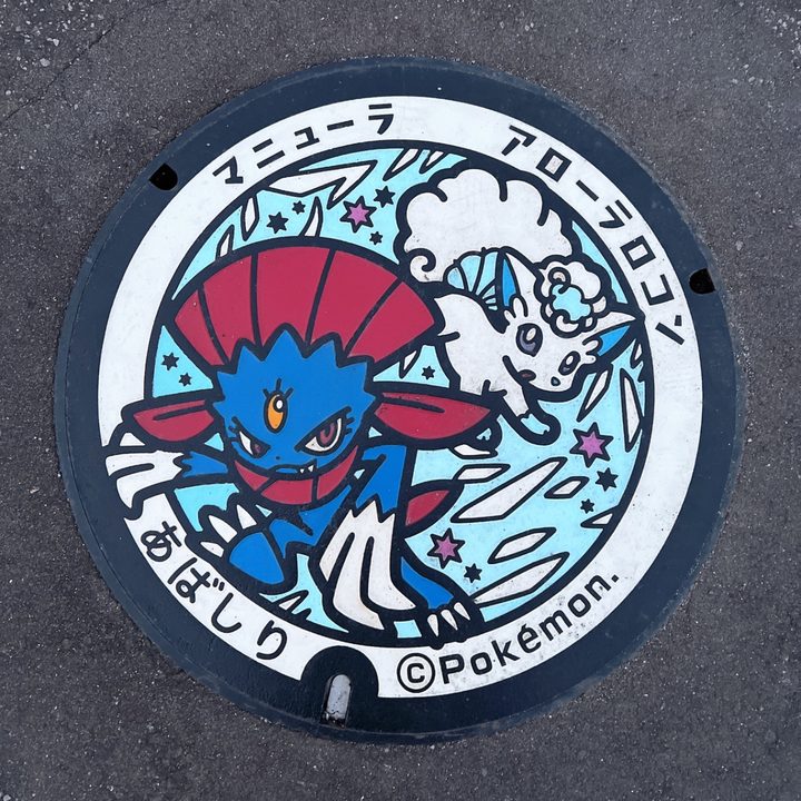 網走市 道の駅流氷街道網走のポケふた（アローラロコン・マニューラ）の写真
