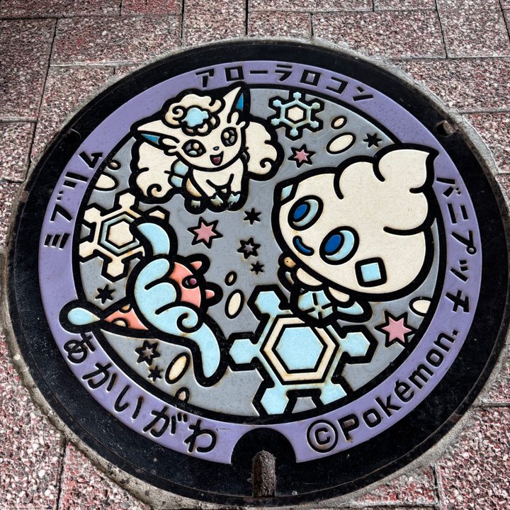 北海道赤井川のポケふた（アローラロコン・バニプッチ・ミブリム）の写真