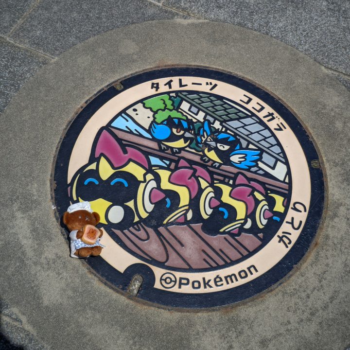 香取市 伊能忠敬記念館のポケふた（ココガラ・タイレーツ）の写真