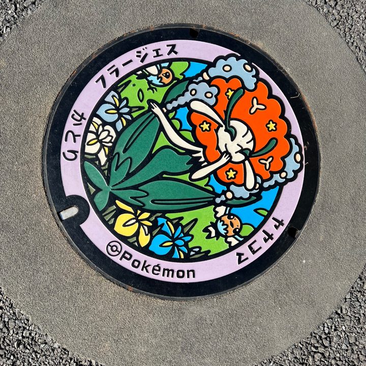 千葉県香取のポケふた（フラージェス・ヤヤコマ）の写真