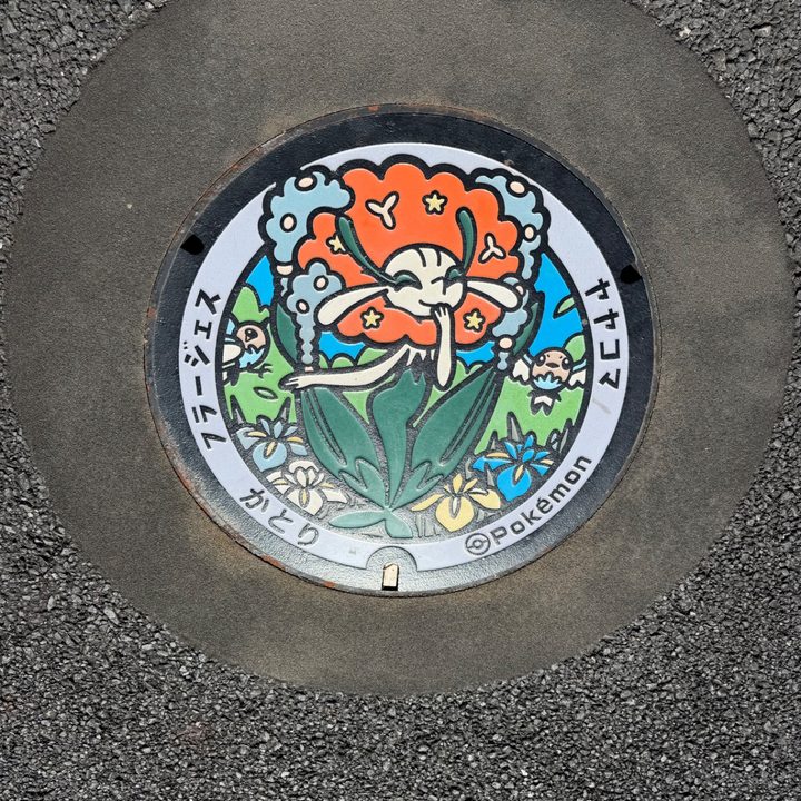 フラージェスのポケふた（千葉県香取）
