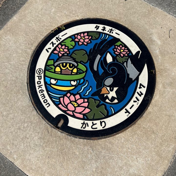 千葉県香取のポケふた（タネボー・ハスボー・ムクバード）の写真