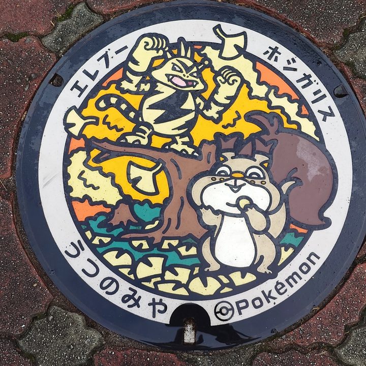 栃木県宇都宮のポケふた（エレブー・ホシガリス）の写真