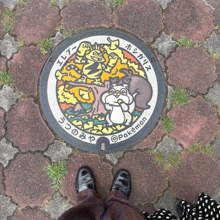 栃木県宇都宮のポケふた（エレブー・ホシガリス）の写真