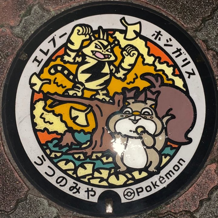 宇都宮市 宇都宮駅東公園のポケふた（エレブー・ホシガリス）の写真