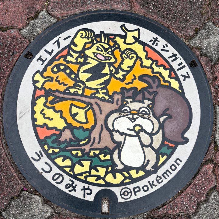栃木県宇都宮のポケふた（エレブー・ホシガリス）の写真