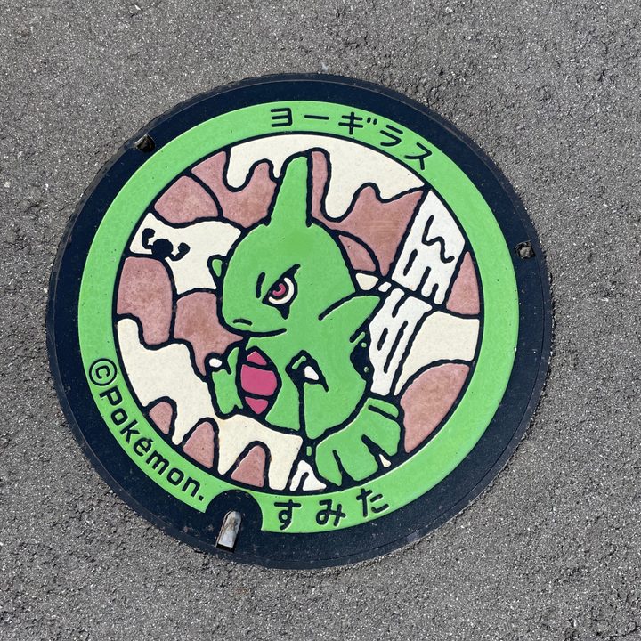 岩手県/住田町のポケふた（ヨーギラス）の写真