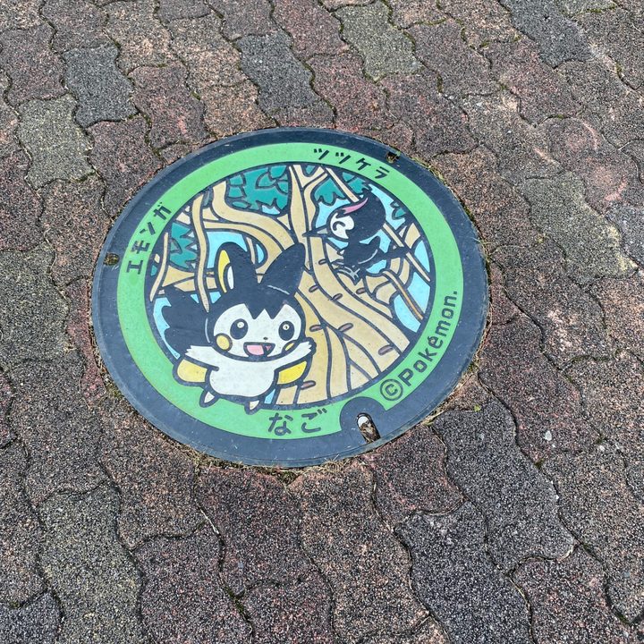 沖縄県名護のポケふた（エモンガ・ツツケラ）の写真