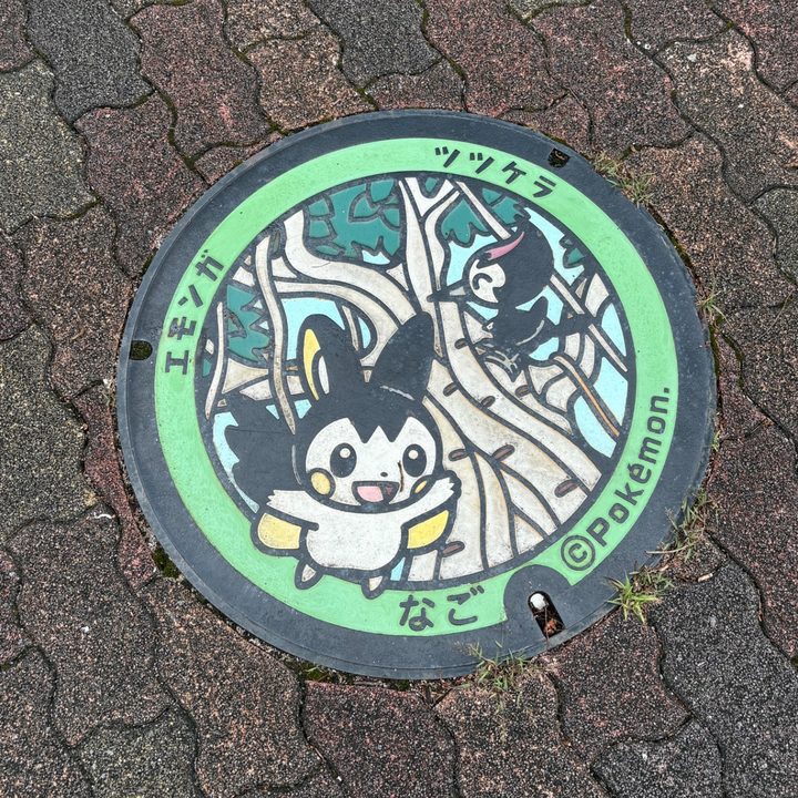沖縄県/名護市のポケふた（エモンガ・ツツケラ）の写真