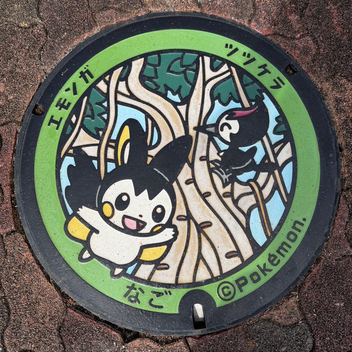 沖縄県/名護市のポケふた（エモンガ・ツツケラ）の写真