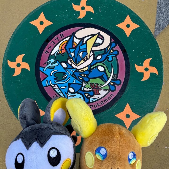 滋賀県甲賀のポケふた（ゲッコウガ）の写真