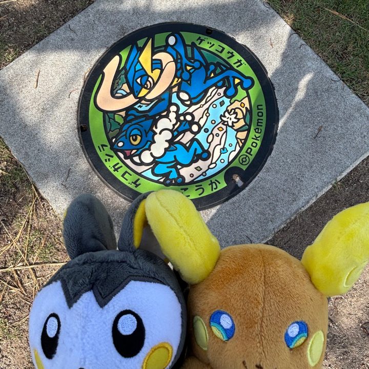 滋賀県甲賀のポケふた（ゲコガシラ・ゲッコウガ）の写真