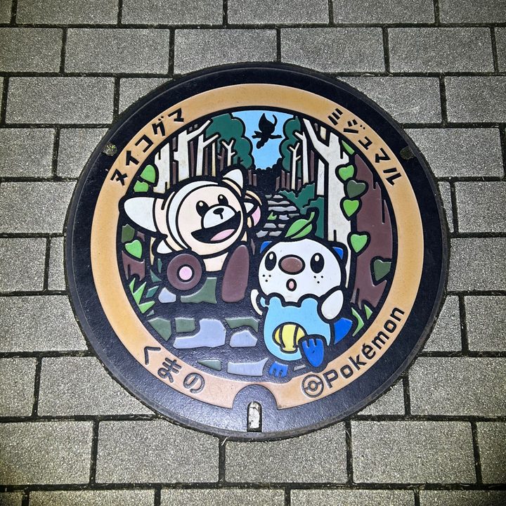 熊野市 鬼ヶ城センターのポケふた（ヌイコグマ・ミジュマル）の写真