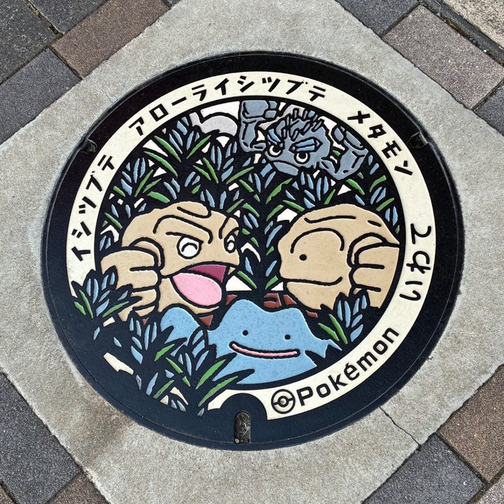 Photo of the Alolan Geodude, Geodude, Ditto Poké Lid in Iwate