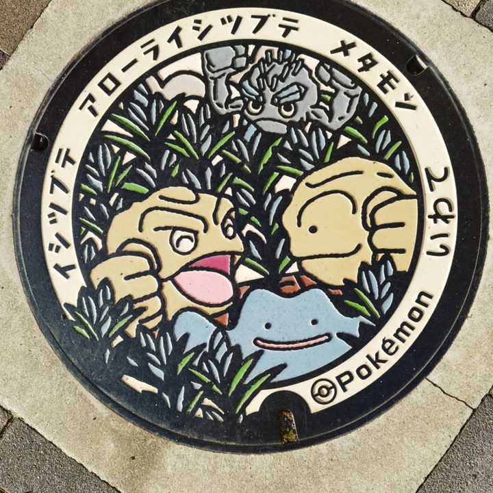 岩手県岩手のポケふた（アローライシツブテ・イシツブテ・メタモン）の写真