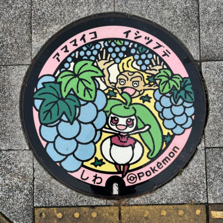 岩手県紫波のポケふた（アママイコ・イシツブテ）の写真