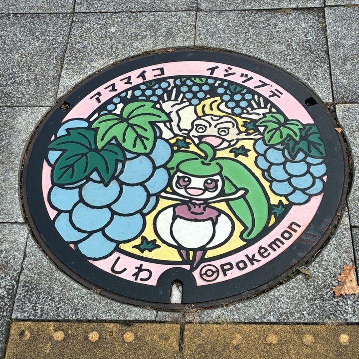 Photo of the Steenee, Geodude Poké Lid in Shiwa