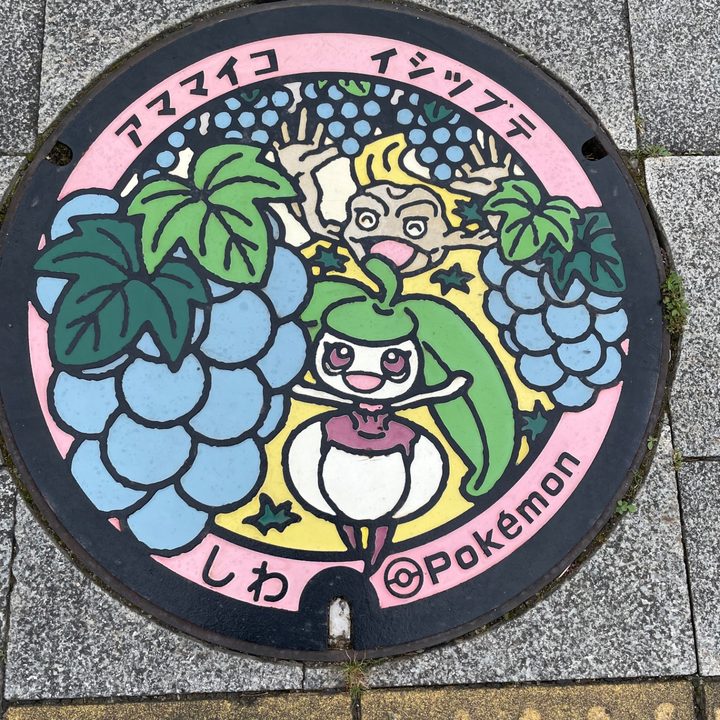 岩手県紫波のポケふた（アママイコ・イシツブテ）の写真