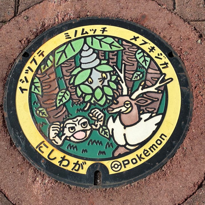 Photo of the Geodude, Burmy, Sawsbuck Poké Lid in Nishiwaga