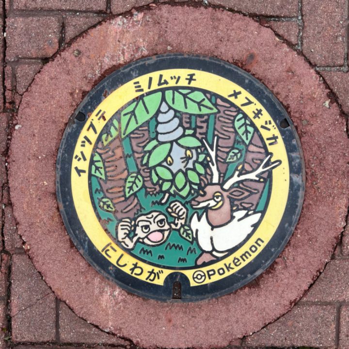 岩手県西和賀のポケふた（イシツブテ・ミノムッチ・メブキジカ）の写真