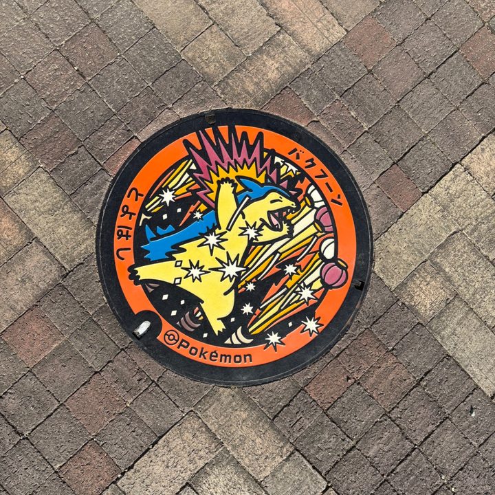 豊橋市 豊橋公園内のポケふた（バクフーン）の写真