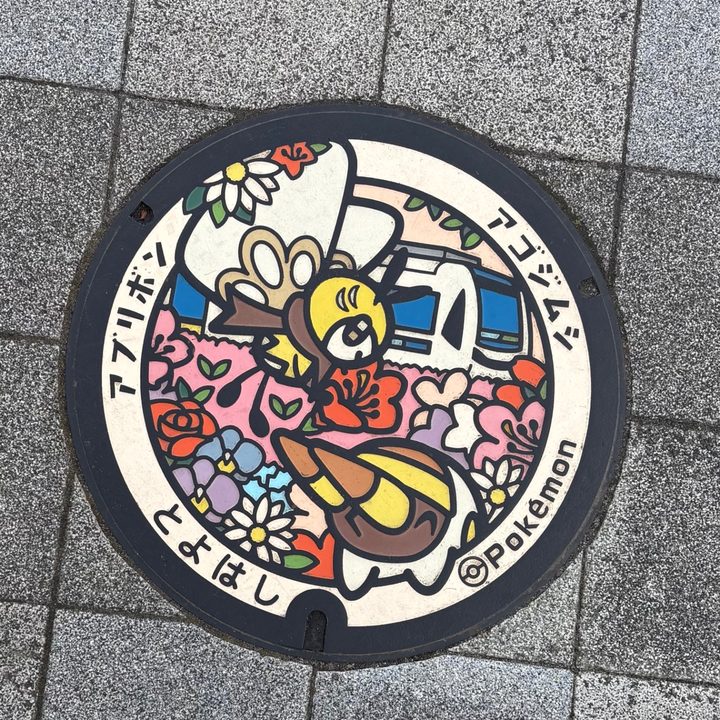 愛知県豊橋市のポケふた（アゴジムシ・アブリボン）の写真