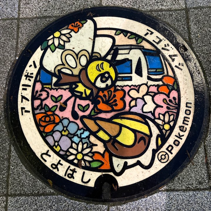 愛知県豊橋市のポケふた（アゴジムシ・アブリボン）の写真