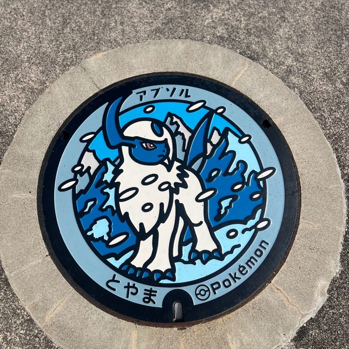 富山県富山のポケふた（アブソル）の写真