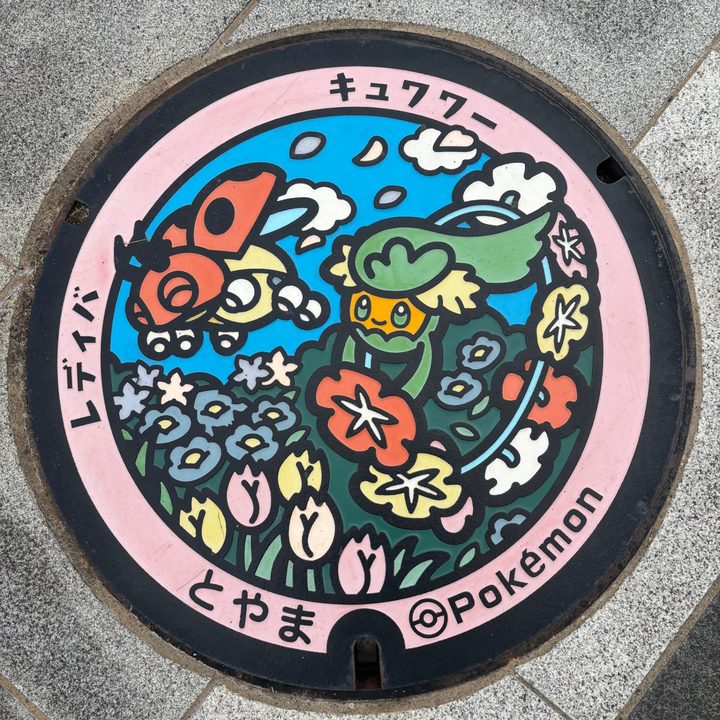 富山県富山のポケふた（キュワワー・レディバ）の写真