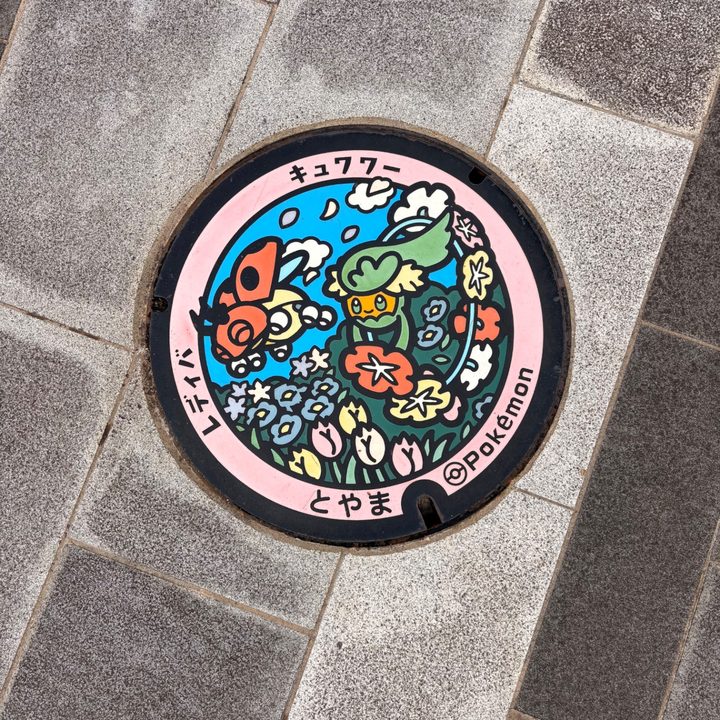 富山県富山のポケふた（キュワワー・レディバ）の写真