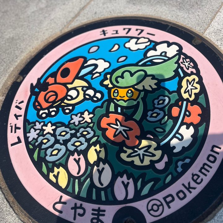 富山県富山のポケふた（キュワワー・レディバ）の写真